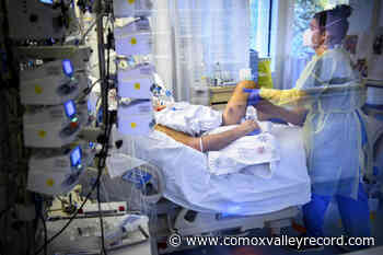 17 more British Columbians die from COVID, hospitalizations continue to decline – Comox Valley Record - Comox Valley Record