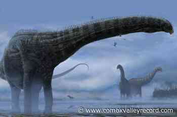 Researchers find evidence of first dinosaur with sore throat, flu symptoms - Comox Valley Record