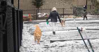 'Just stay home': Ice covering Austin-area roads makes travel dangerous Thursday - KUT
