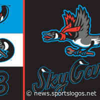 At long last, Beloit Sky Carp take to the sky - SportsLogos.Net News