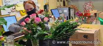 Pandemic shortages a thorn for Aurora area flower shops as Valentine's Day approaches - Chicago Tribune