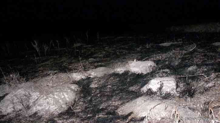 Grass fire at Nose Hill scorches two hectares of land