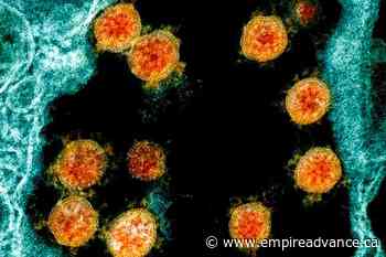 Toronto tech institute tracking long COVID with artificial intelligence, social media - Virden Empire Advance