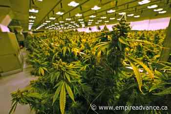 Marijuana bills stall in Virginia's GOP-controlled House - Virden Empire Advance