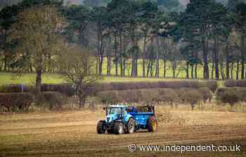 Russia tensions reveal threat to UK food supplies, farming chief warns - The Independent