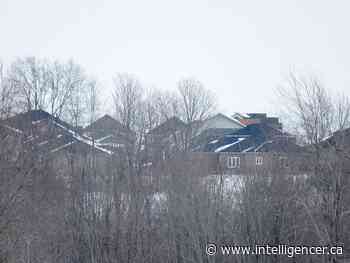 Kingston looks to urban forests in climate change efforts - Belleville Intelligencer