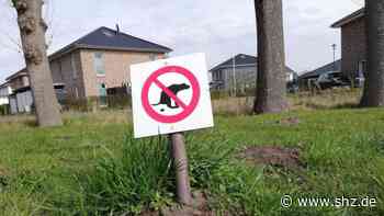 Ermäßigung um 50 Prozent: Nach Hundesteuer-Erhöhung: Tornesch führt Härtefallregelung ein | shz.de - shz.de