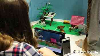 Stop-Motion-Film: Zeitreise mit Lego-Steinen | shz.de - shz.de