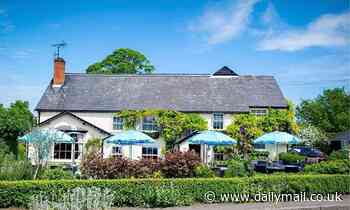 Staycation review: Inside the North Essex pub with rooms where Jamie Oliver learned his craft - Daily Mail