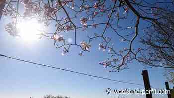Clima en la Ciudad de Buenos Aires: domingo 13 de febrero - Weekend