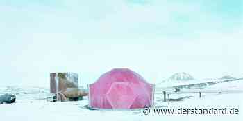 Architektur in der Arktis: Die Schlacht am vereisten Buffet - DER STANDARD