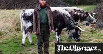 Satellite technology creates virtual grazing areas in Epping forest - The Guardian