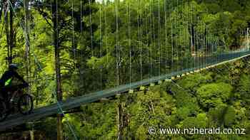 Insider's guide to Camp Epic in Pureora Forest Park - New Zealand Herald