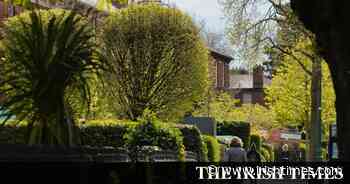 How to make your garden part of the 'urban forest' - The Irish Times