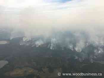 Forest sector supports Canada's effort to address wildfire risks and enhance forest resilience: FPAC - Wood Business - Canadian Forest Industries