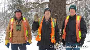 Forests Ontario annual conference celebrates forest sector champions - Wood Business - Canadian Forest Industries