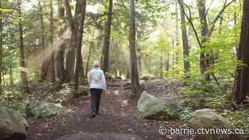 'Forest Bathing with Beth': Retired Barrie, Ont., teacher shares love for nature - CTV News Barrie