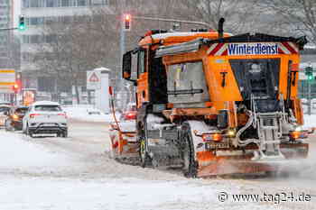Stadt Chemnitz schlägt Alarm: Streusalz macht unsere Bäume krank - TAG24