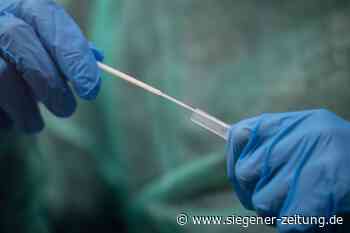 Omikron-Infektion: Wie schnell ist man ansteckend – und wie lange? - Siegener Zeitung