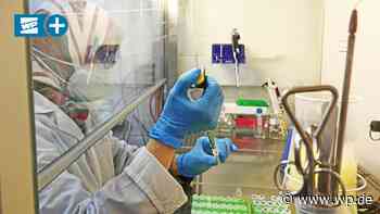 Corona Siegen: Quh-Lab wertet bis Mitternacht PCR-Tests aus - WP News