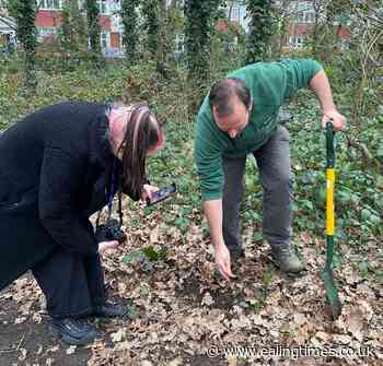 Student volunteers make their mark round Ealing - Ealing Times