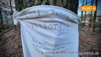 Uniklinik will neues Bettenhaus errichten und dafür 150-jährige Eichen fällen