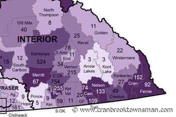 COVID-19 cases dip slightly in Cranbrook, rise in Fernie as BC CDC releases latest data - Cranbrook Townsman