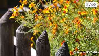 Kleingärten werden geräumt: Hobbygärtner in Wittenberge haben Anspruch auf Entschädigung | svz.de - svz – Schweriner Volkszeitung