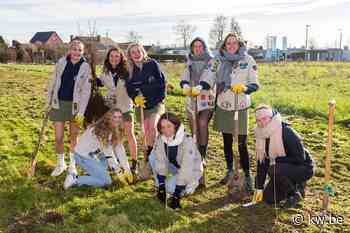 Nieuw speelbos aangeplant op jeugdsite in Lichtervelde: “Een ontmoetingsplaats” - KW.be - KW.be