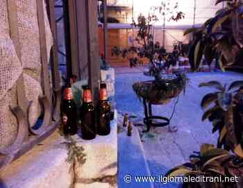 Trani, priore di San Toma disperato: «Questo non è il gabinetto della movida!» - ilgiornaleditrani - Radio Bombo