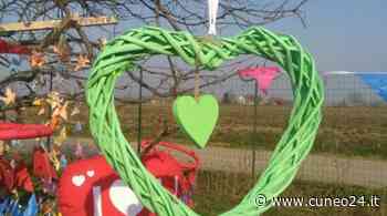 Fossano, al canile Pinco Pallino si festeggia con gli innamorati più fedeli: gli animali - Cuneo24 - Cuneo24