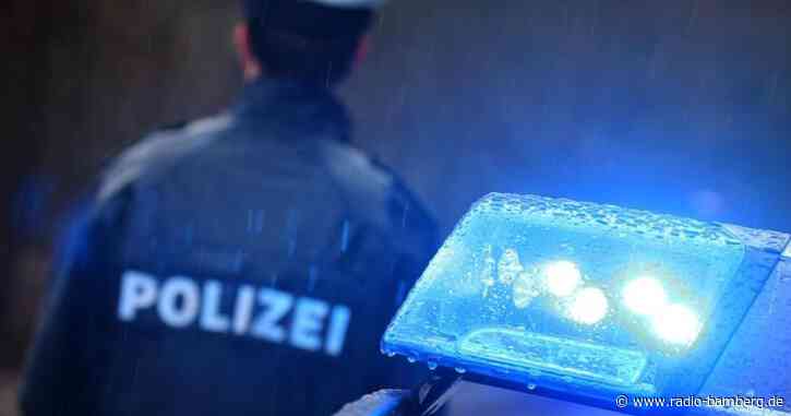 Mission Katzenrettung: Polizei holt Mieze von Autobahn