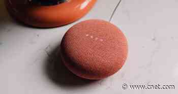 You can now stop Google Assistant from talking with just one word     - CNET