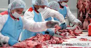 Lecco. «L'inflazione non frena i ricavi» - La Provincia di Lecco