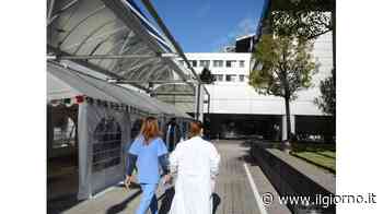 Fuga dalla corsia, 321 camici bianchi via da Lecco - IL GIORNO