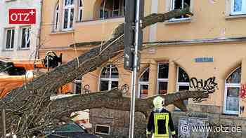 „Wir standen alle im Bett“: Baum stürzt in Jena auf Wohnhaus und zerschmettert ein Auto