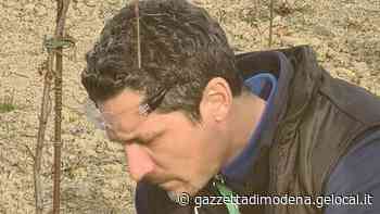 Campi del Modenese senza braccianti: «Colpa del bonus 110%» - La Gazzetta di Modena