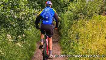 Modena. Morì per un tronco sulla ciclabile Il giudice condanna la Provincia - La Gazzetta di Modena