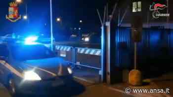 Droga: operazione Ps e Cc Modena, 19 misure cautelari - Emilia-Romagna - Agenzia ANSA