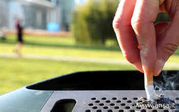 Modena verso lo stop al fumo all'aperto nelle aree verdi - Agenzia ANSA