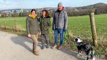 Witten: Traumwetter lockt viele Spaziergänger ins Grüne - Westdeutsche Allgemeine Zeitung
