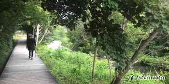 Trail Through Cataracts Provincial Park Closed Until Further Notice - VOCM