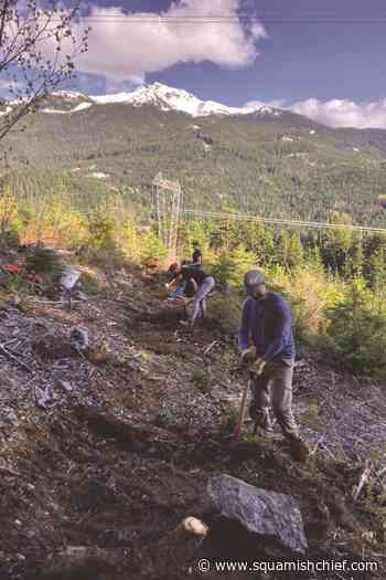 Whistler trail group calls for more funding - Squamish Chief