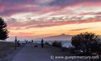 In San Francisco, an ambitious long-distance trail promises to be a hiker's dream, skirting one of the world's greatest natural harbours - GuelphMercury.com