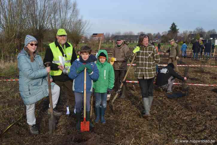 Boompjes en struikjes gepoot en nu wachten op het Bezoekbos