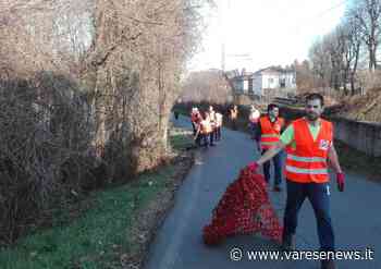 Strade pulite tra le vie di Crenna di Gallarate, tra i rifiuti anche una bici - varesenews.it