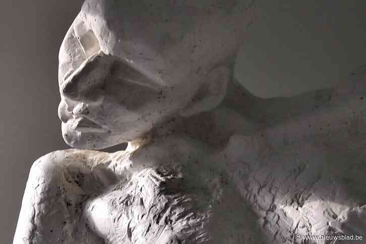 Oerkracht, gevat in beelden van Nina in Hofke van Chantraine