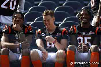 Could the Seattle Mariners Become the Cincinnati Bengals of Baseball? - SoDo Mojo