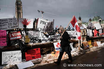 As U.S. ‘trucker convoy’ picks up momentum, foreign meddling adds to fray