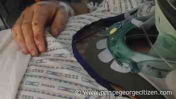 GoFundMe launched for Vanderhoof man following collision - Prince George Citizen